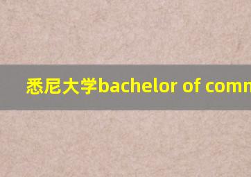 悉尼大学bachelor of commerce